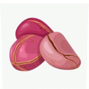 Kolanut