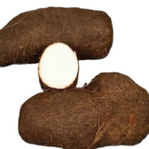 Water Yam